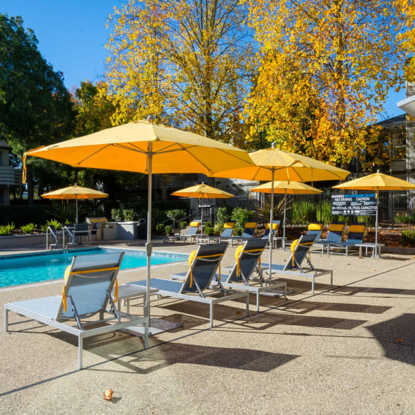 Umbrella seating by pool at Tanglewood in Davis, California
