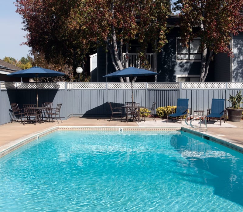 Beautiful swimming pool at Amber Court in Fremont, California