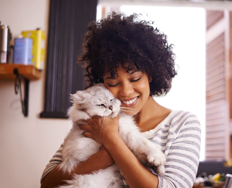 Resident enjoying some time with her cat at Westchester West in Silver Spring, Maryland