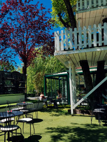 shade trees, an awning, and a second story deck providing shade spots in a back yard. 