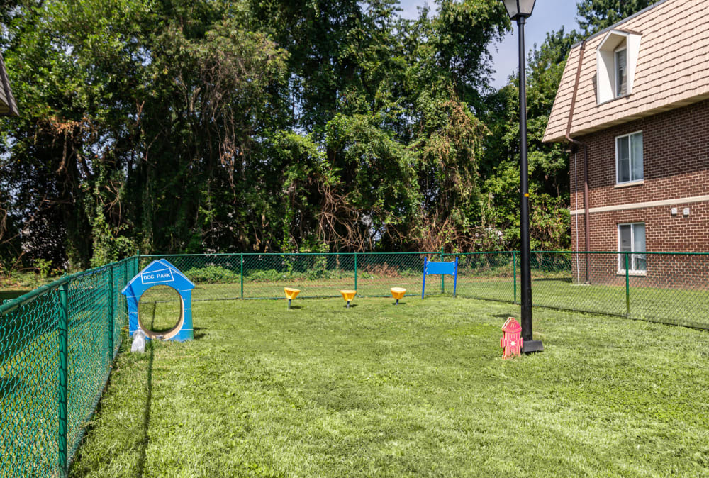 Fenced dog park at Country Village Apartment Homes in Dover, Delaware