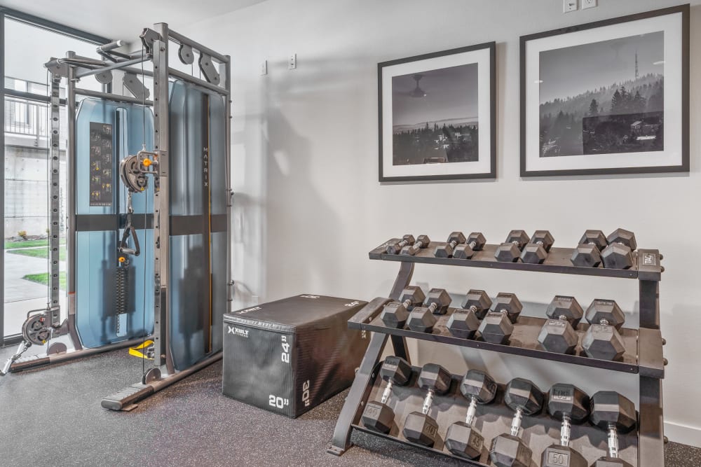Fitness center with free weights and TRX at Marquam Heights in Portland, Oregon