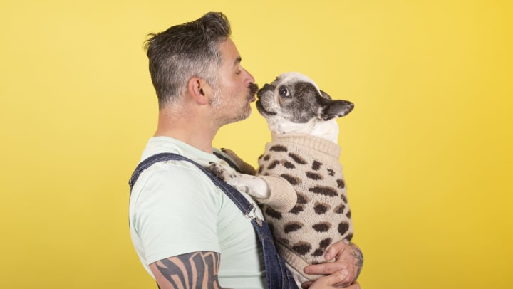  Man with tattoos holding and kissing small dog wearing beige sweater. 