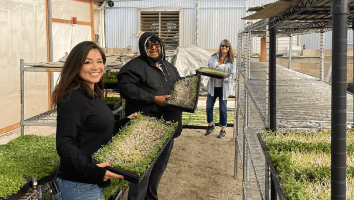 San Diego Self Storage staff volunteering at Solutions Farms