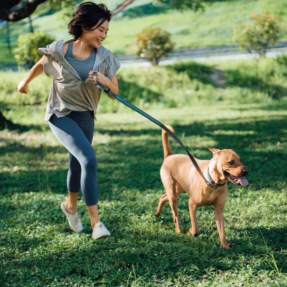 Happy dog playing outside on the green grass at Avalon of Wilmington in Wilmington, North Carolina
