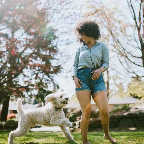 View amenities at Pinecrest Apartments in Fallbrook, California