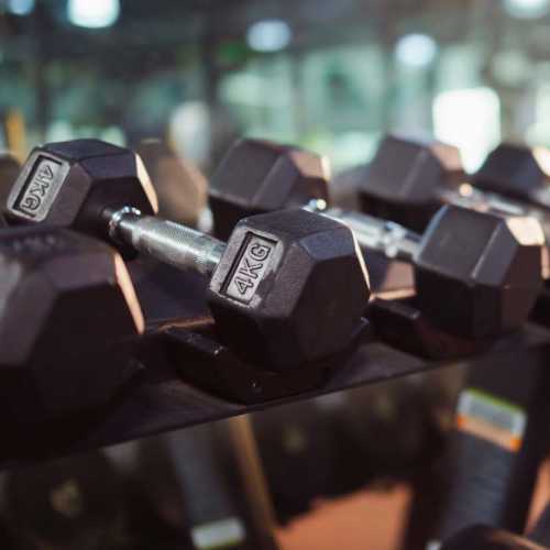 Weight racks in a fitness center at Capital Greene in Wheeling, West Virginia