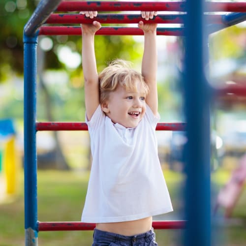 a young boy on the monkey bars at Eucalyptus Ridge in Lakeside, California