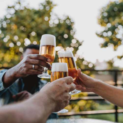 Glasses of beer clinking together near Avia Lofts at Maple Road in Amherst, New York