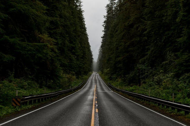 an open road lined with pine trees on either side on a dreary overcast day in the Pacific Northwest