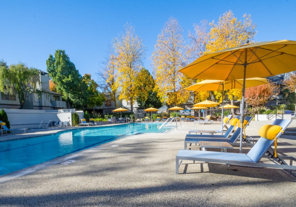 Pool at Tanglewood in Davis, California