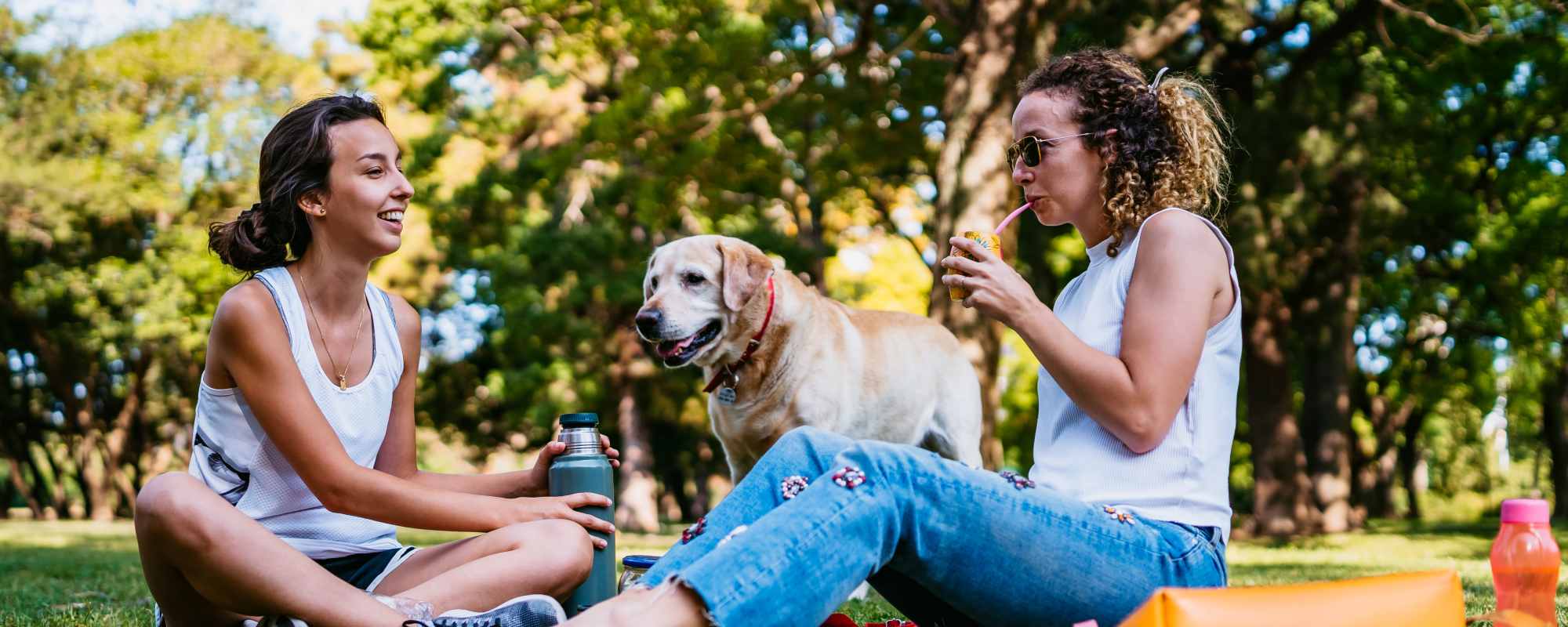 Roommates enjoying the park with their dog near Dominion Park in San Antonio, Texas