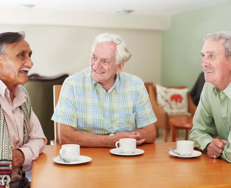 Gentlemen residents conversing over coffee at Meadows on Fairview in Wyoming, Minnesota