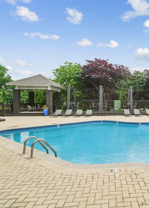 Amenities at Forester in Charlotte, North Carolina