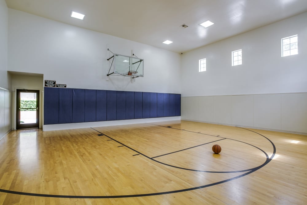 Enjoy Apartments with an Indoor Basketball Court at Estates on Frankford in Dallas, Texas