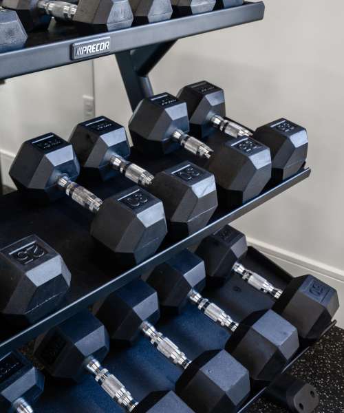 Free weights in the gym at 5 Row in Charlottesville, Virginia