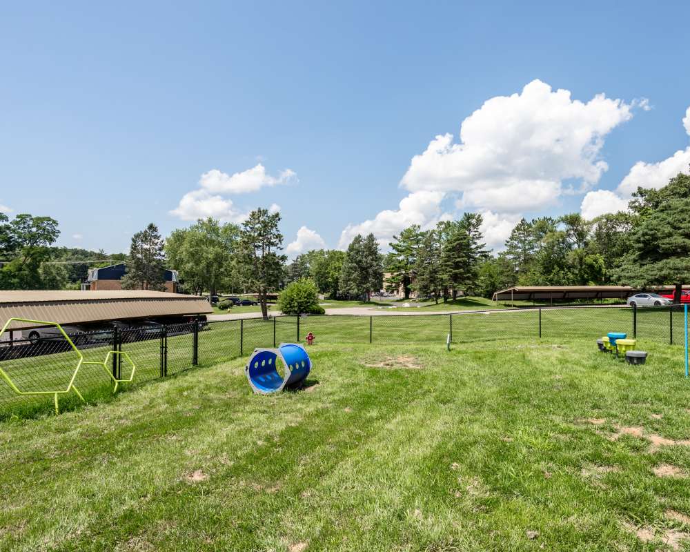 Spacious green area with playground equipment and vibrant landscaping at The Grove in Battle Creek, Michigan