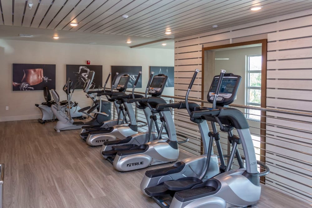 Well-equipped fitness center at 50 Paramount in Sarasota, Florida