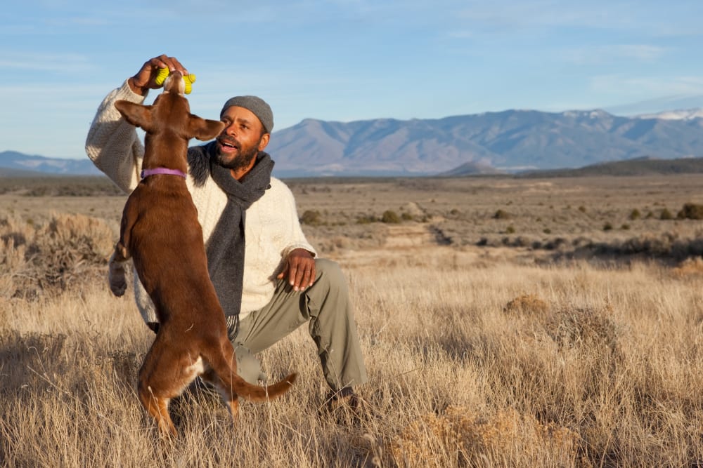 A resident playing with a dog near Coleville in Coleville, California