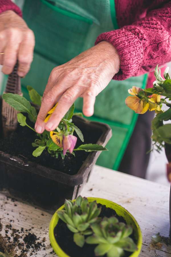 Resident gardening at Truewood by Merrill, Glen Riddle in Glen Riddle, Pennsylvania