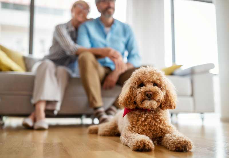 Pet-friendly living at Truewood by Merrill, Glen Riddle in Glen Riddle, Pennsylvania