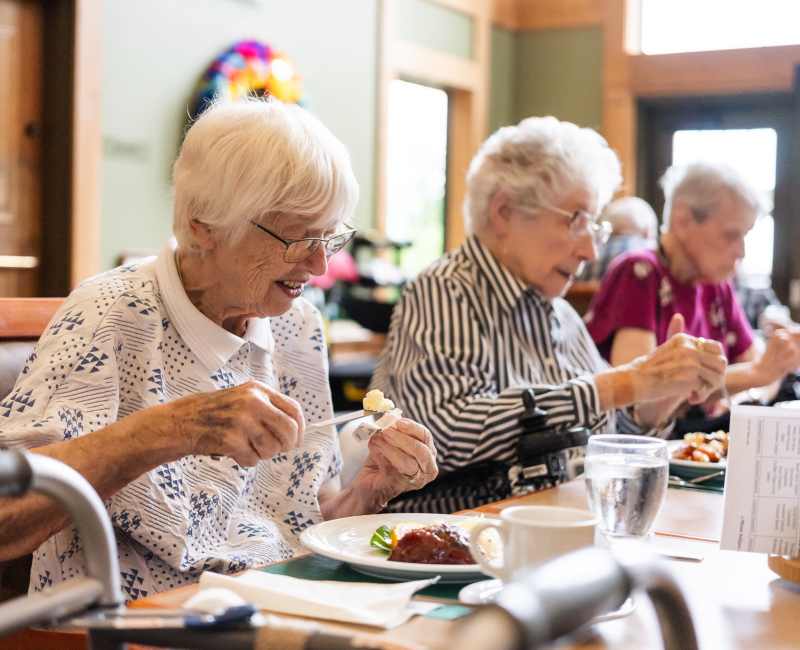 Ladies enjoying lunch at Meadows on Fairview in Wyoming, Minnesota