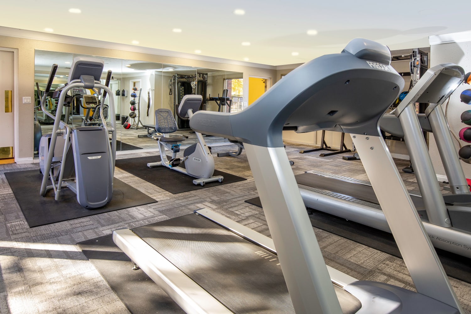 Gym at Wasatch Club Apartments in Midvale, Utah