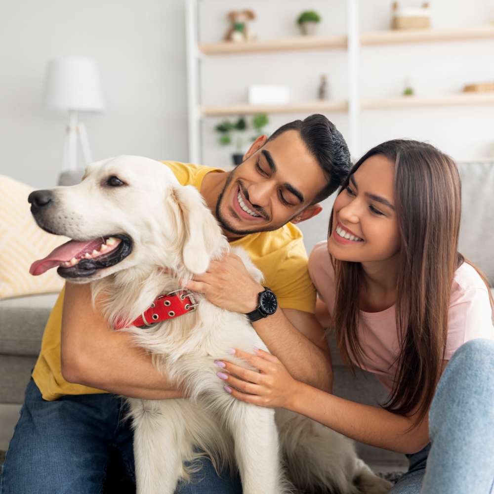 Resident couple with their pet in their living room at San Marco in Boca Raton,Florida