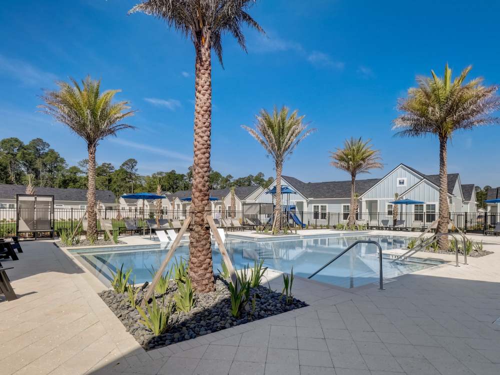 Swimming pool and palm trees at Cottage Street at eTown in Jacksonville, Florida