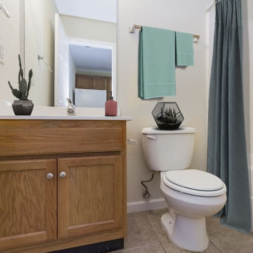 Bathroom with shower and bath combination at Home Place Apartments in East Ridge, Tennessee