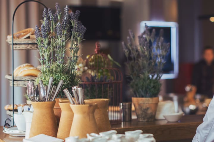 Pots of lavender at {{location_name}}