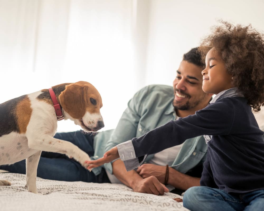  Resident family teaching their dog to shake in their new home at Cape House in Jacksonville, Florida