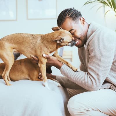 Resident with his pets at The Canopy Apartment Villas in Orlando, Florida