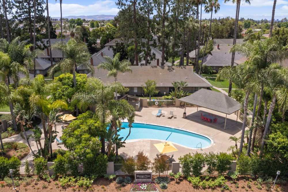 Aerial view of a resort-style pool at Mango Tree Apartment Homes in Santa Ana, California