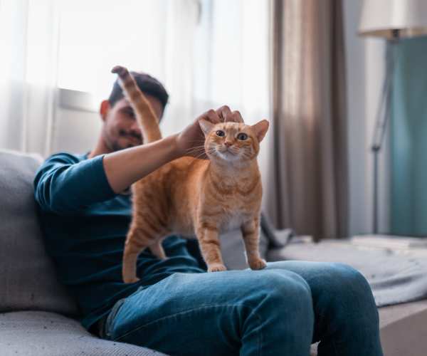 Resident petting his cat at The Abbey at Hightower in North Richland Hills, Texas