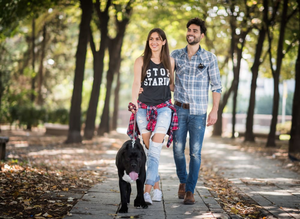 A couple walks their dog near SoLa Apartments in Los Angeles, California