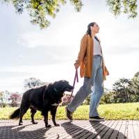 Resident is walking with dog in the park at Courtyard Lofts at Scott’s Addition in Richmond, Virginia