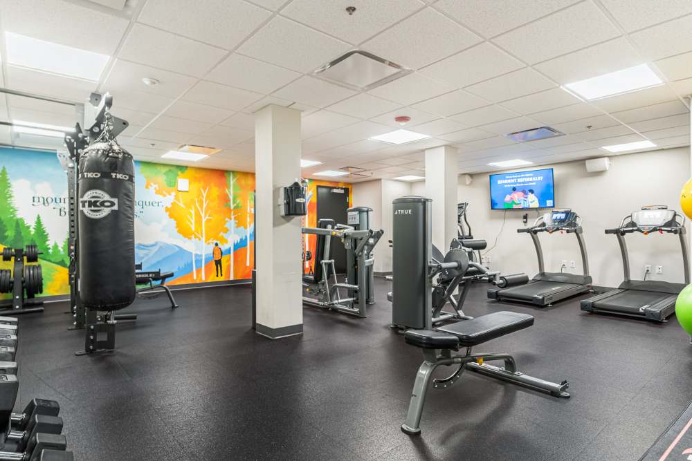 Large gym at Art District Flats in Denver, Colorado