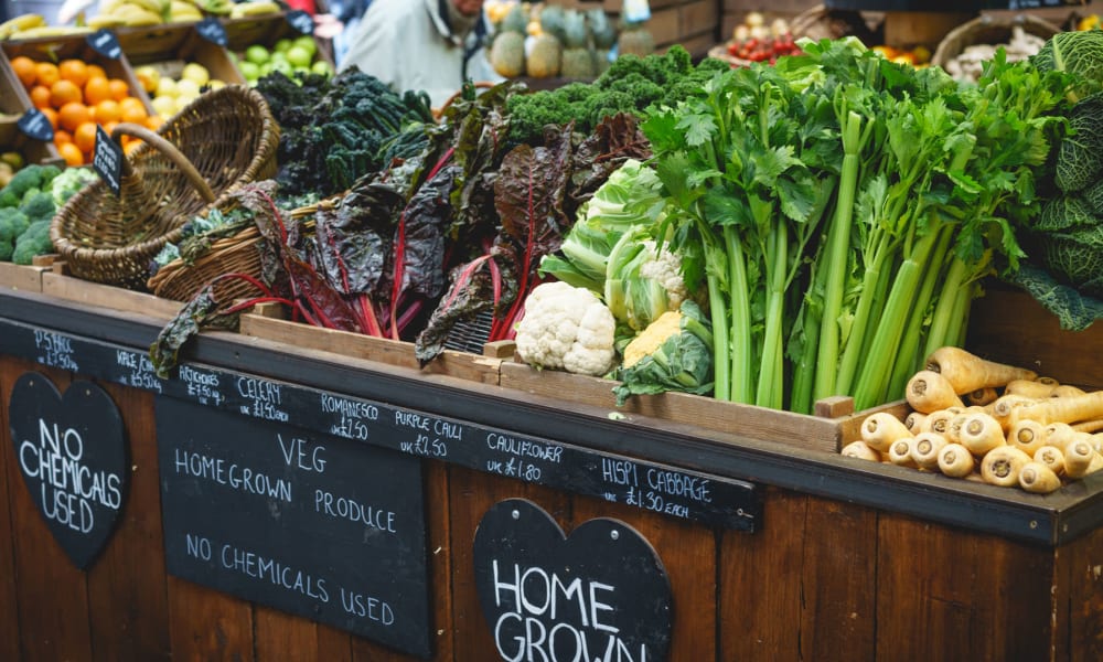 Fresh produce on display at a farmers market near Pleasanton Place Apartment Homes in Pleasanton, California