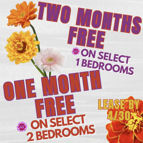 Solana April Specials for The Solana Apartments One Month Free for Select 2 bedroom Units and Two Months Free for Select One bedroom units.