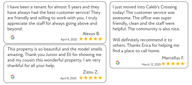 five star reviews from google