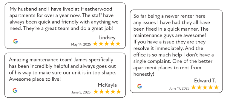 three examples of five star google reviews