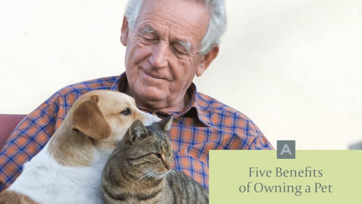 Five Benefits of Owning a Pet