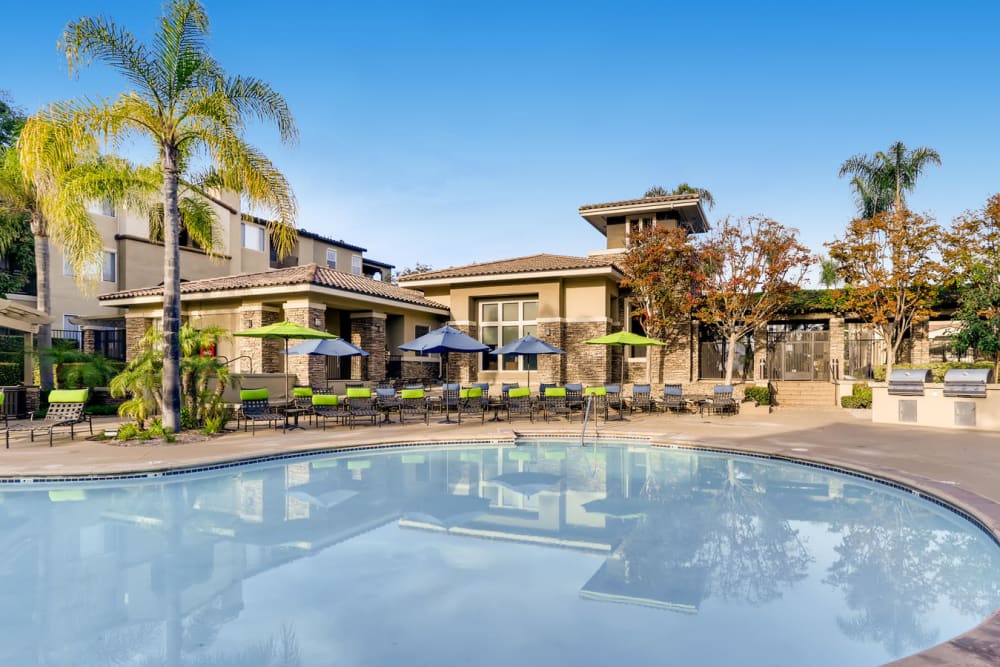 Pool and sundeck at Alize at Aliso Viejo Apartment Homes in Aliso Viejo, California