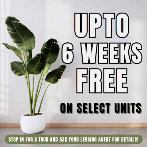 Solana June Special - Up to 6 WEEKS Free on Select Units Limited Availability - Act Fast! **Discount applies after first full months rent.
