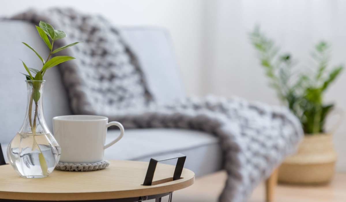 A comfy sofa in an apartment at The Cascades, Virginia Beach, Virginia
