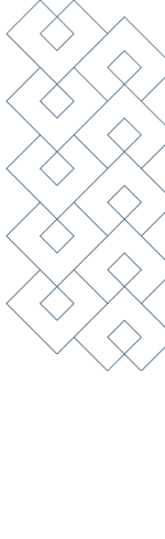 Divider Image