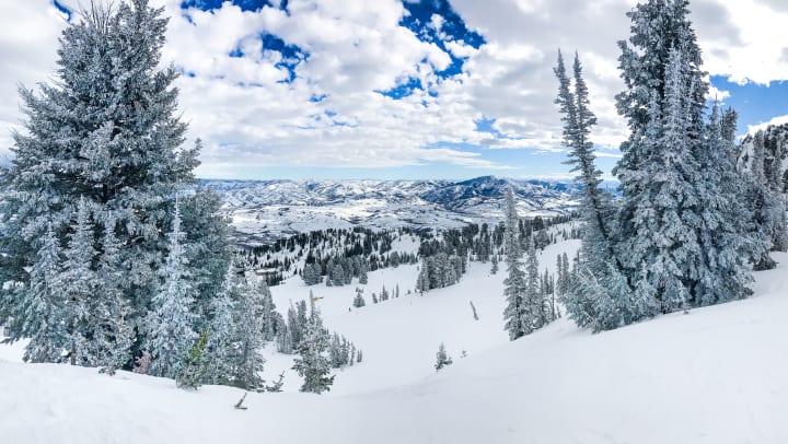 A winter scene with snow frosted trees, snow covered slopes, and mountains in the background.