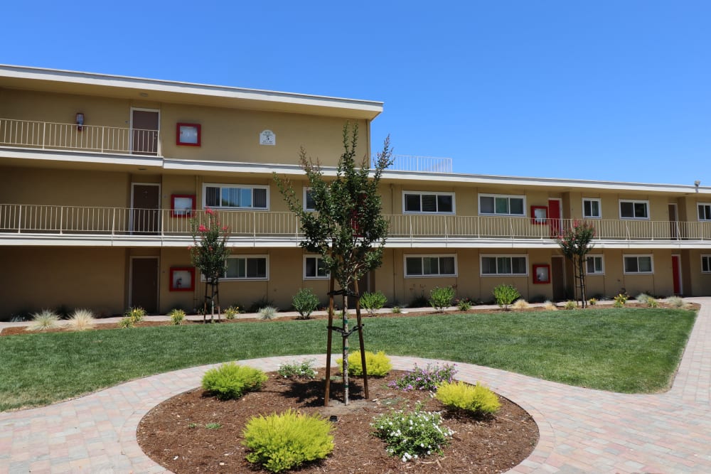 Interior courtyard and grassy area at Pentagon Apartment Homes Fremont, California.