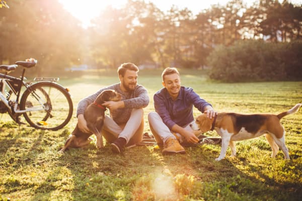 two residents hanging out with their dogs at a park nearby  Colonial Gardens in Fremont, California